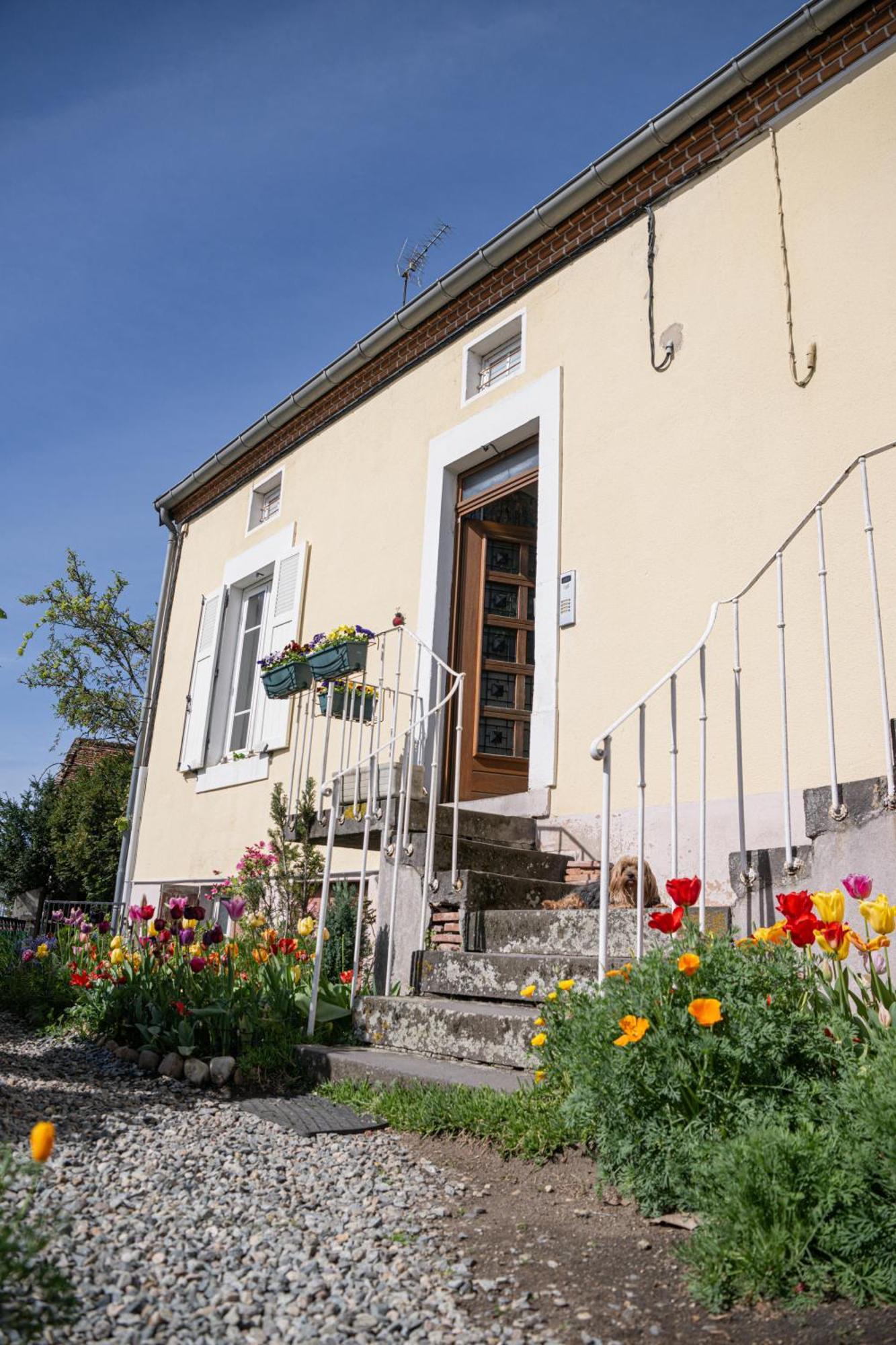 La Belle Rive Du Voyageur Apartment Bellerive-sur-Allier Luaran gambar